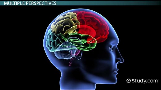 Psychological Perspectives | Definition, Categories & Examples