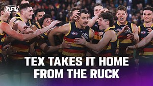 15K views · 679 reactions | Two rebel sport Goal of the Year nominations in as many weeks for Tex 鸞 | AFL | Facebook