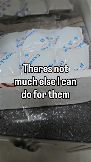 Discus fish diet upgrade. Nothing left to upgrade. Thank you @chens_discus for the speedy service and beefheart plus. They're on this once a day and all granules will be presoaked. Theres not much else I can do now. Over to them. #aquarium #fish #discus | Discus Switch