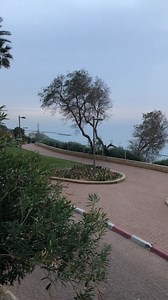 Check out the famous boardwalk of Netanya, that overlooks a spectacularly beautiful coastline lined with cliffs! | Israel With Eliyokim Cohen