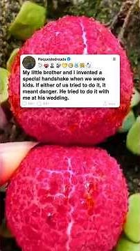 My little brother and I invented a special handshake when we were kids.