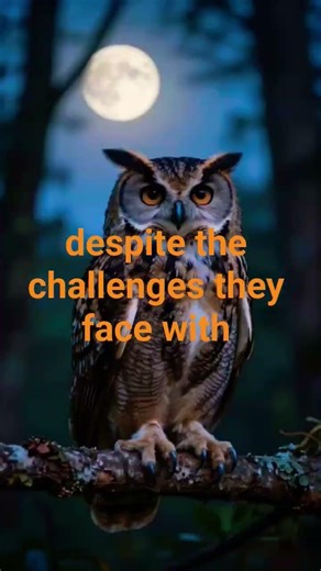 The laughing Owl..#facts #wildlifecreation #birds #wildlife #nature