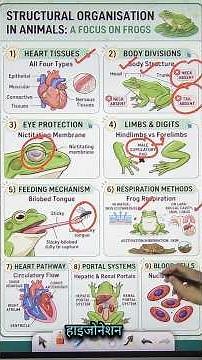Structural Organisation in Animals in 3 Minutes 🐸 | Class 11 Biology #neet #biology