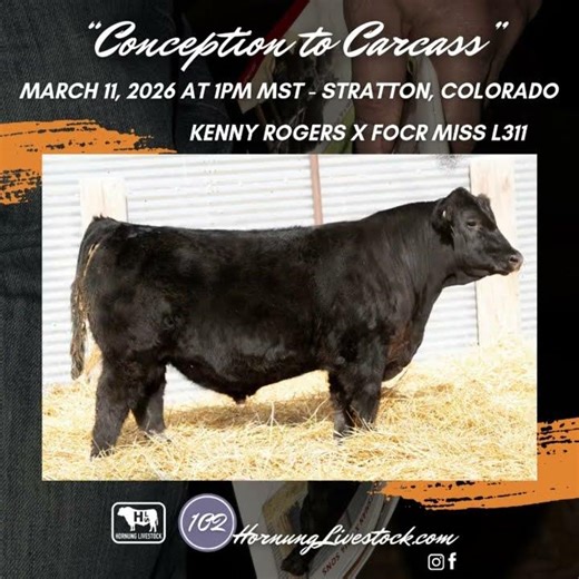 Hornung Livestock | March 11, 2026