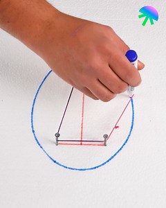 Geometrical Egg Shape | Sports Addict