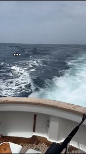 @moyesbiggame @seamount_fishing @jesse.de.freitas | Olaf Grimkowski