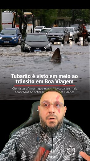 736K views · 6.5K reactions | Tubarão no meio da estrada em Boa Viagem? #animais #natureza #bio #biologia #biologo #biologa #biologicas #ciência #animal #zoo #zoologia #ecologia #bichos #bicho #vocesabia #curiosidades #explorar #biologohenrique #faunasilvestre #meioambiente #tubarão | Biólogo Henrique o Biólogo das Cobras | Facebook