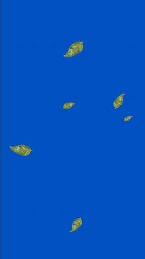 Autumn Leaves | Relaxing 4K Animation