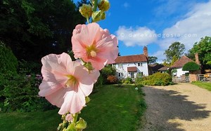 What's Surrey famous for? Top 18 places to visit in Surrey!