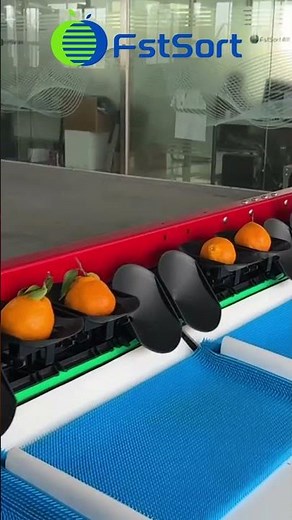 Orange Sorting, Grading, and Packing Lines Post Harvest Processing of Citrus Fruits Sorter​