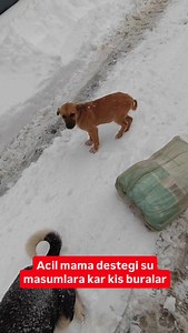 AK PİNAR MAHALLESİ MİMAR SİNAN SOK. B 2/2 KAT 1 NO.10 4 CÜ ETAP TOKAT SİNAN ÖZDEMİR NİKSAR 05453610160 | Sinan Özdemir