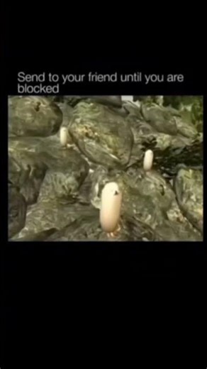 egg dog meme ib/crds: @miqbaba_ #trending #fypviralシ