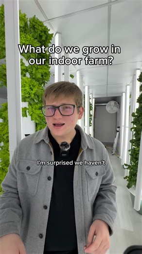 Grow Space Vertical Farms on Instagram: "What crops do we grow in our indoor farm? Growing indoors means you can still grow hundreds of varieties of crops, but right now it makes the most sense for us! #hydroponics #gardening #localfarm #urbanfarm #verticanfarm #kenosha #wisconsin"