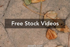 Dry Ground Videos, Download The BEST Free 4k Stock Video Footage & Dry Ground HD Video Clips