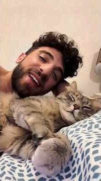 Cats talking back to their owners 😹 #catshorts #youtubeshorts #cute #funnycats #funny #kittens