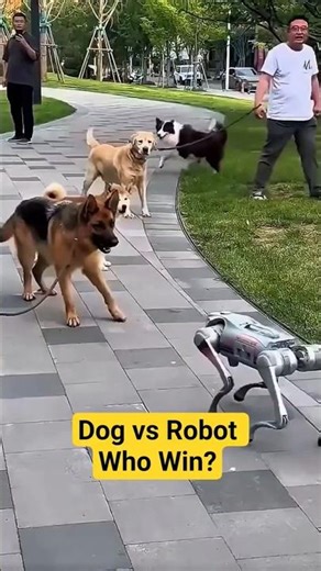When Real Dog Meets Robot Dog… Chaos Happens! 😂🐾🤖 #shorts #funny #shortsfeed