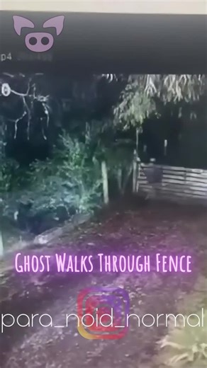 Haunted TikTok: Scary Videos and Paranormal Encounters