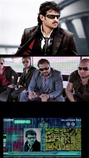 Algae Eater Insights