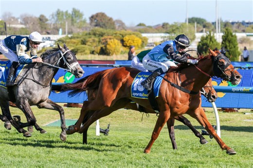 Half Yours horse - 2025 Melbourne Cup Odds, Barrier, Form and Betting