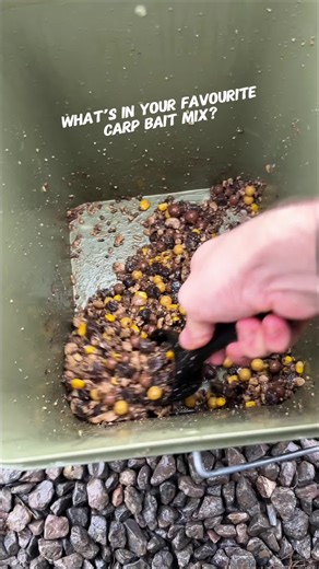 Essential Bait Solutions for Carp Fishing Enthusiasts