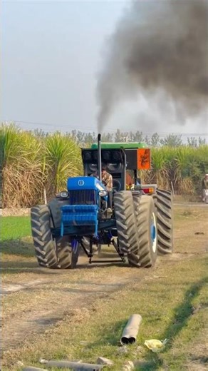 रोहित🥹 भाई बिहार 😭क्लीन कराई😱#nishudaswal #rohitdeshwal