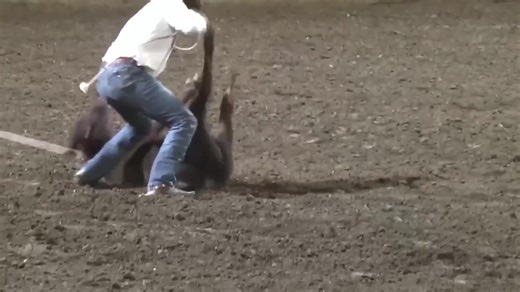 Seth Hall is having the best season of his career as he sits No. 25 in the World! He adds to it by tying an 8.2-second run in Lewiston to go to No. 3 on the leaderboard! | CowboyChannel