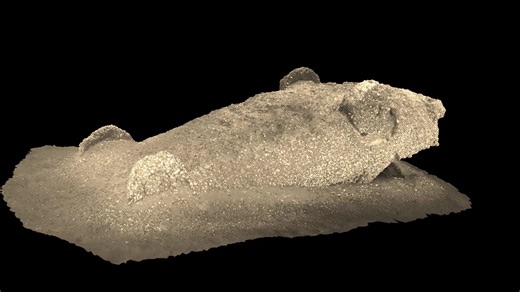 16K views · 13 reactions | Gary Lefebvre on Reels | Facebook