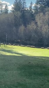 19K views · 500 reactions | ‪“Thrown with the Champion TL3” - Felix Bruner ‬ | Innova Discs | Facebook