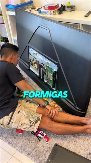 Sua tv pode estar virando um ninho de insetos sem você perceber!