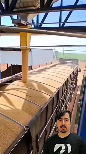 52K views · 190 reactions | Grain loading at the factory | Curiosity of Junior | Facebook