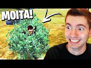 VIREI UMA MOITA NO FREE FIRE e TENTEI TROLLAR!!! - FREE FIRE