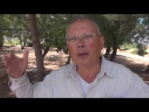 Dr Hagi Ben Artzi
