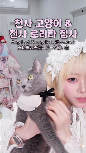 Angel cat & angelic Lolita owner🐈‍⬛🪽