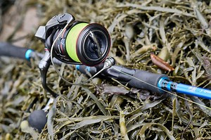 Shimano Vanford C5000XG spinning reel review (interesting dilemma) - around £200 here in the UK if you can find one — Henry Gilbey