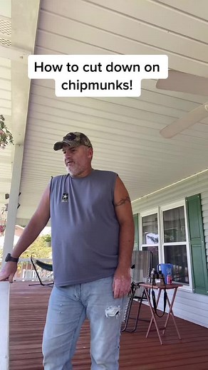 Chipmunk reduction!#gardening #chipmunks #chipmunks #makemefamous #california #georgia #alabama #pestcontrol