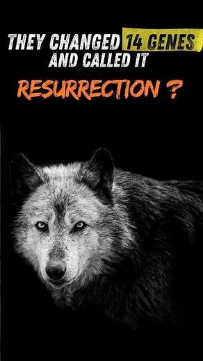 They didn't actually resurrect the dire wolf 🐺 #direwolf #science #deextinction