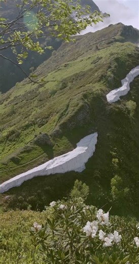 Mountain Calm ⛰️ Peaceful Nature Escape