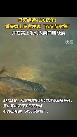 Discovering Unique Eel Species in Aquatic Environments