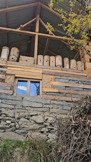 Hamari Traditional Log Hives #honeybee #bee #loghive #beekeeping #beekeeper #traditional #honey