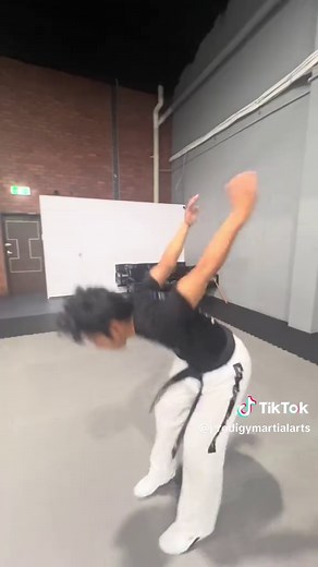 Taekwondo Flips and Acrobatics Training