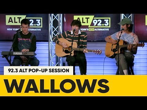 Wallows - 'Remember When'