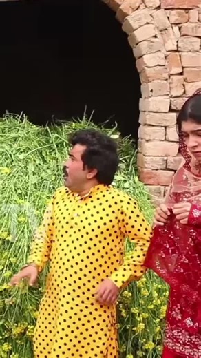 #numberdar #comedyvideo #foryourpage #fyp