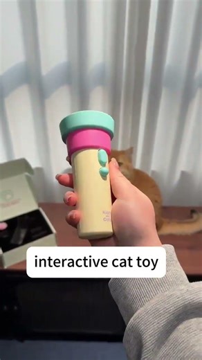 Interactive cat toy#cat #catshorts