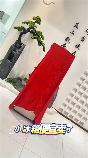 统帅小奶芙160L双门冰箱评测：LC2-160WS9好用吗？租房党看过来！