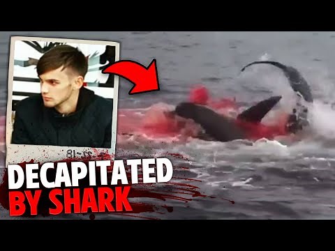 One of the WORST Tiger Shark Attacks of 2023!
