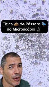 Bird Titica under the Microscope 🔬 #curiosities #microscope #biology #zoom