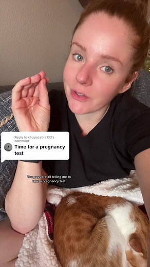 Pregnant Cat and Exciting News on Dave the Cat!