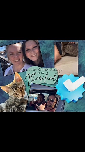 🎉Smitten Kitten Rescue is now VERIFIED! #smittenkittenrescue #bethechangeyouwishtosee #verified | Smitten Kitten Rescue