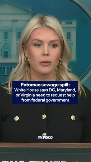 Press Secretary Karoline Leavitt says the next step to fix the massive Potomac Interceptor sewage spill falls on local jurisdictions to request help from the federal government, placing blame on Maryland Governor Wes Moore. In a post on X, Gov. Moore stated, "For the past century, the federal government has been responsible for the Potomac Interceptor – not Maryland. The sewage pipe is on federal land." READ MORE ⬇️ | Fox 5 DC