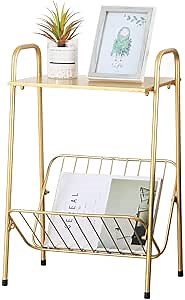 LITA Gold Modern Rectangular Metal Side Table,Two-Story End-Table with Magazine Storage for Bedroom,Living Room,Bedside Table